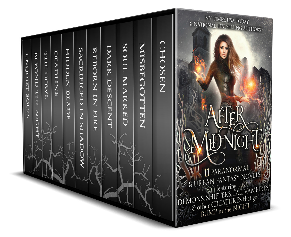 After Midnight 11 Paranormal Romance Urban Fantasy Novels Featuring Demons Shifters Fae Vampires Other Creatures That Go Bump In The Night Gleason