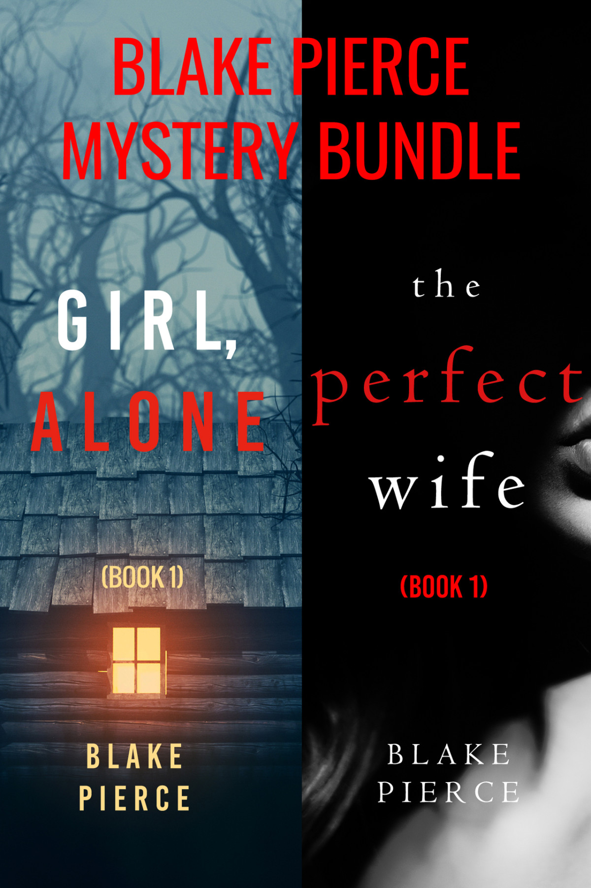 Blake Pierce Fbi Mystery Bundle Girl Alone And The Perfect Wife Pierce