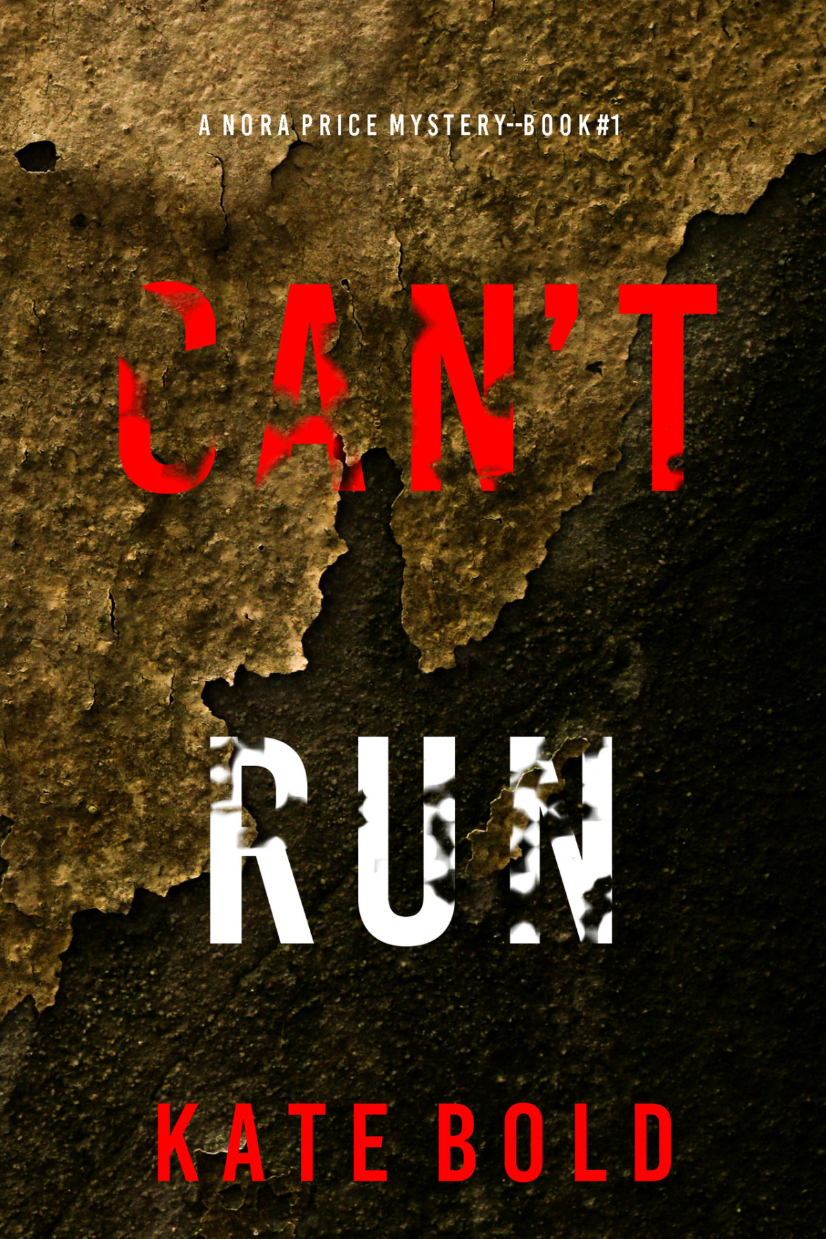 Cant Run A Nora Price Fbi Suspense Thrillerbook One Bold