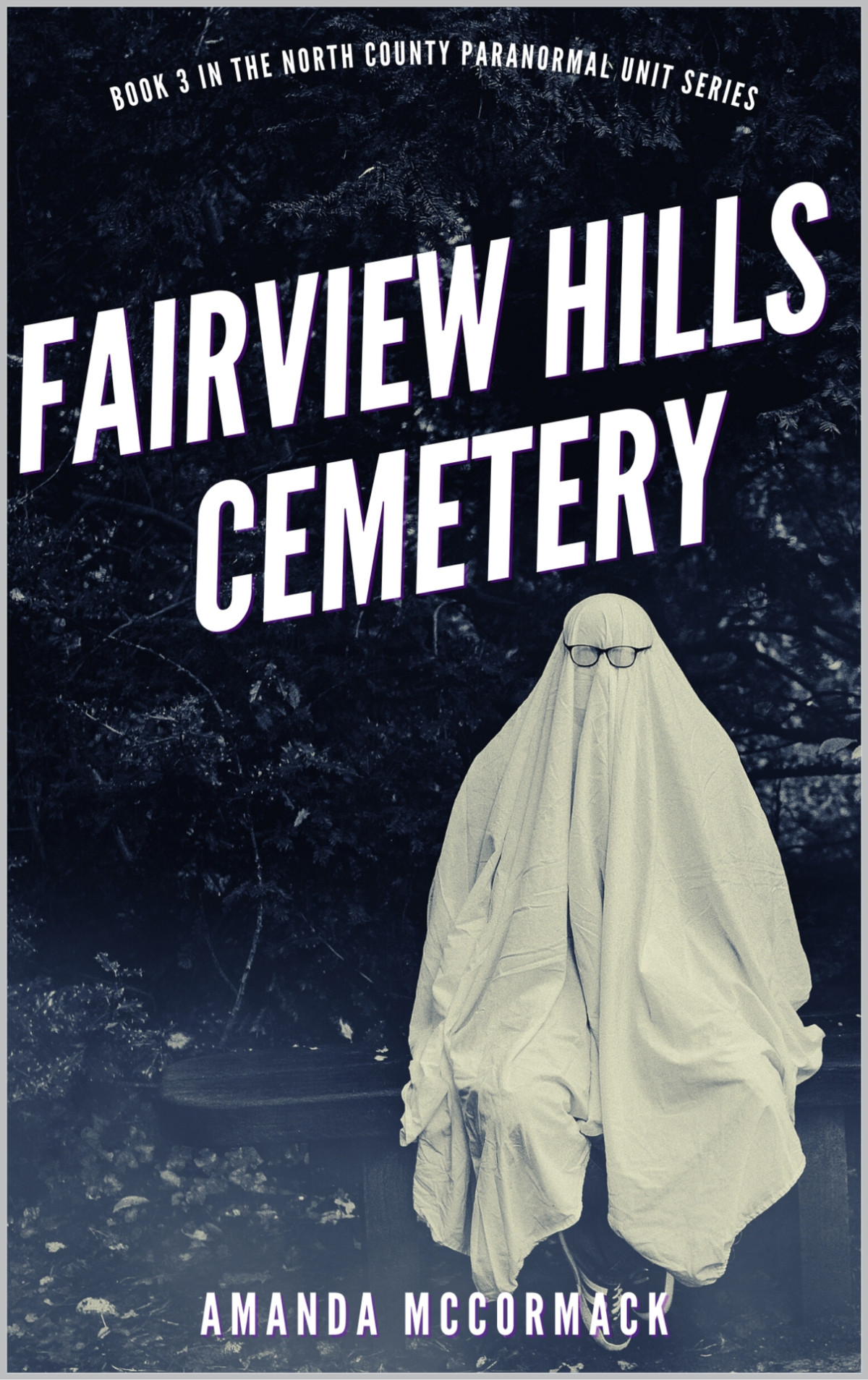 Fairview Hills Cemetery North County Paranormal Unit 3 Mccormack