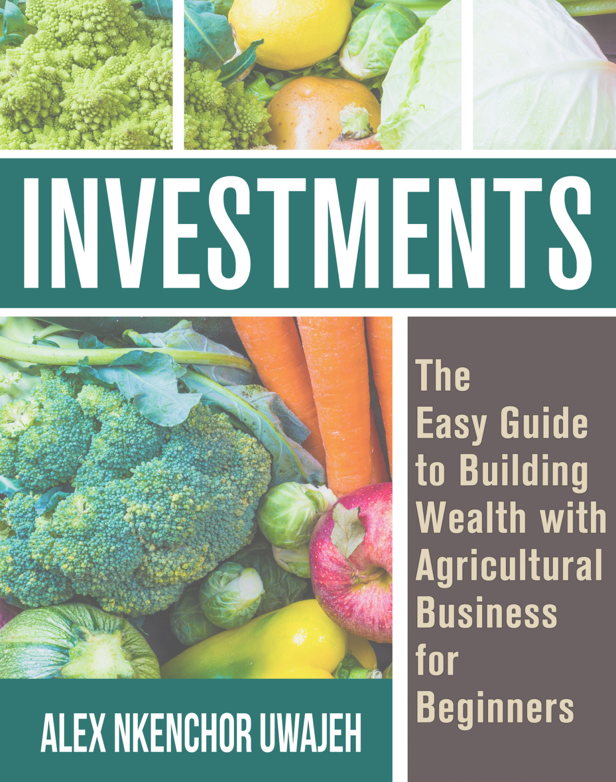 Investments The Easy Guide To Building Wealth With Agricultural Business For Beginners Uwajeh
