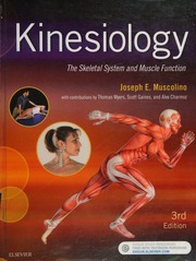 Kinesiology The Skeletal System And Muscle Function Muscolino