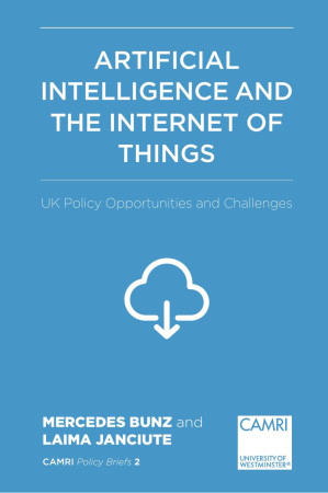 Artificial Intelligence And The Internet Of Things Uk Policy Opportunities And Challenges 1st Edition Mercedes Bunz