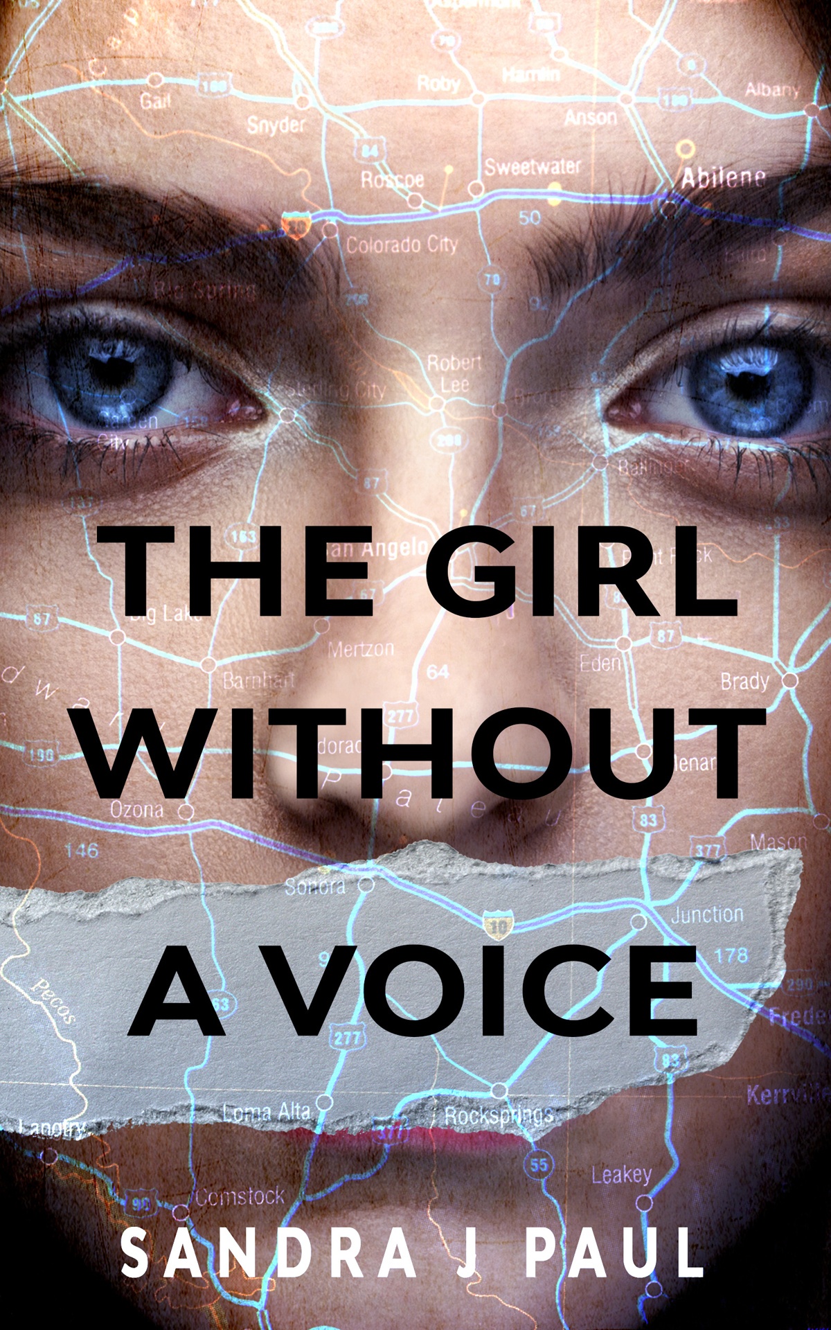 The Girl Without A Voice Sandra J Paul