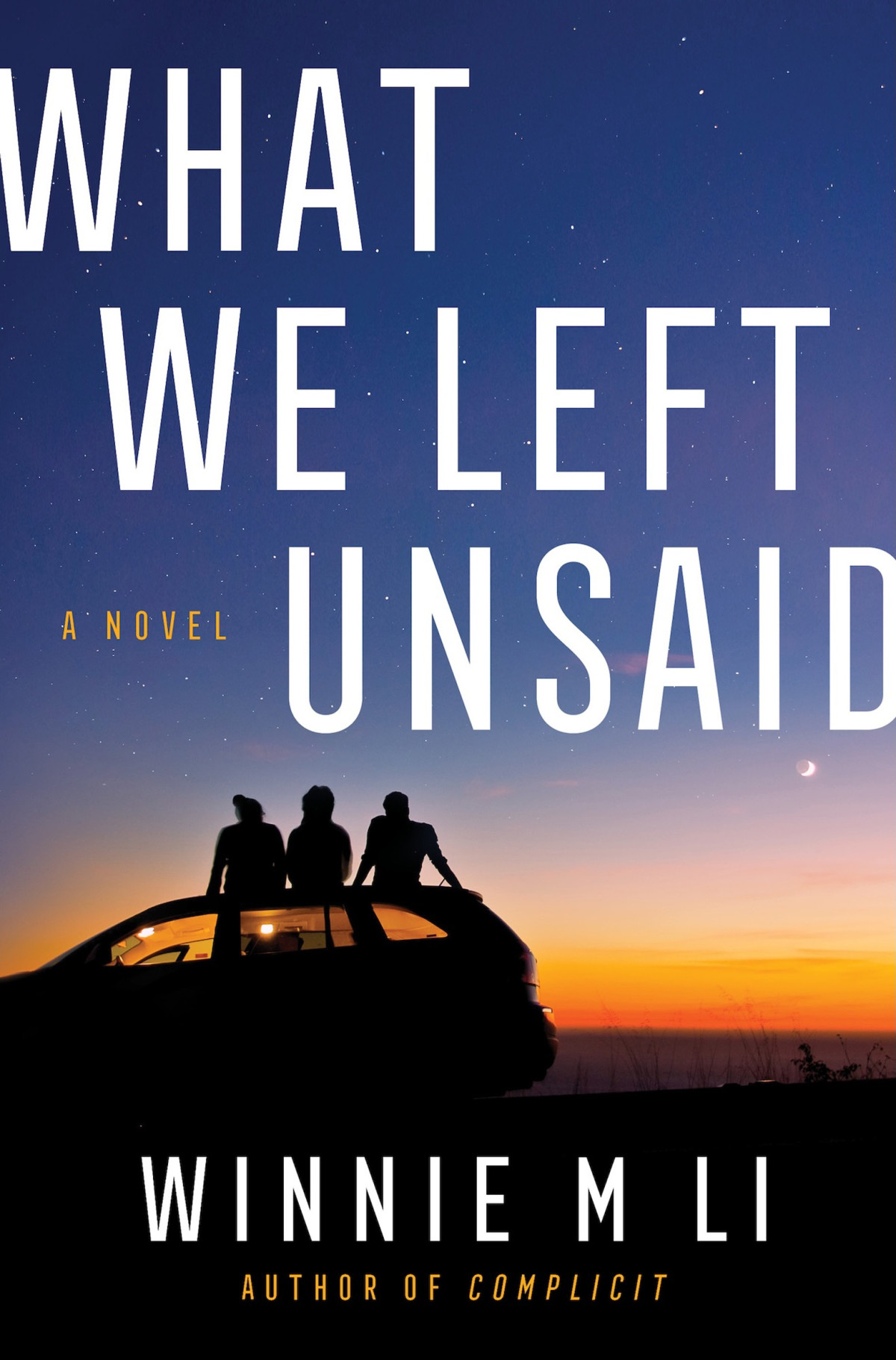 What We Left Unsaid A Novel Winnie M Li