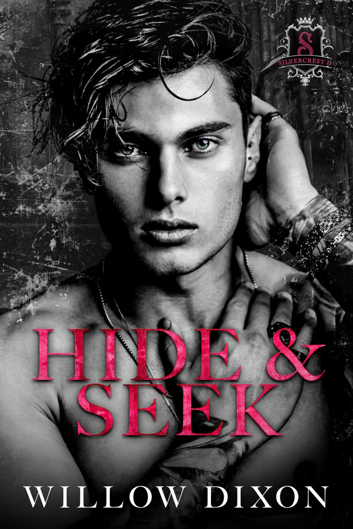 Silvercrest U 2 Hide And Seek Willow Dixon