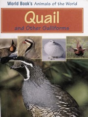 Quail And Other Galliforms World Book Inc