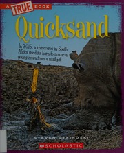 Quicksand Otfinoski Steven Author