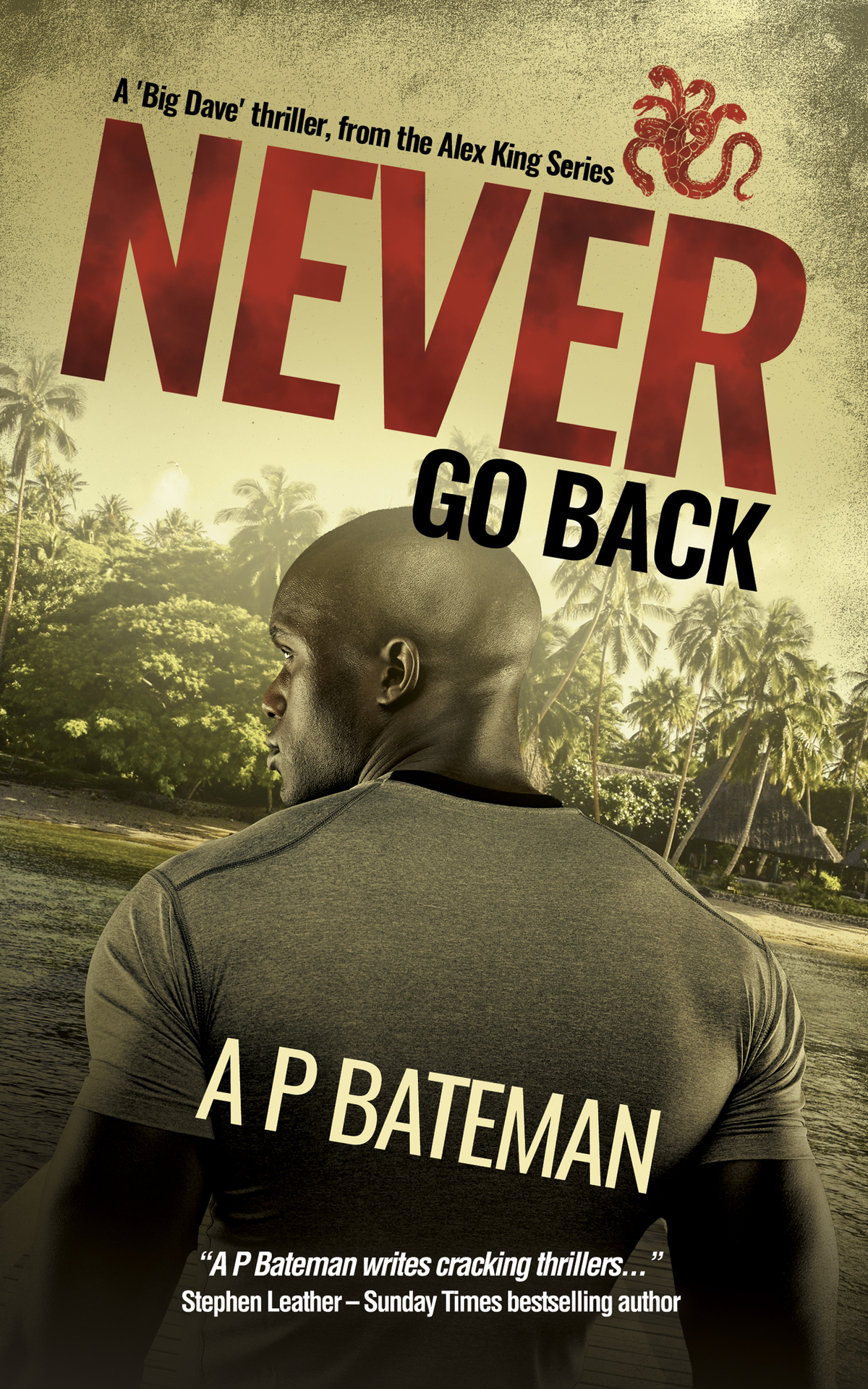 Never Go Back A Big Dave Thriller From The Alex King Series Bateman