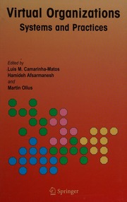 Virtual Organizations Systems And Practices Camarinhamatos