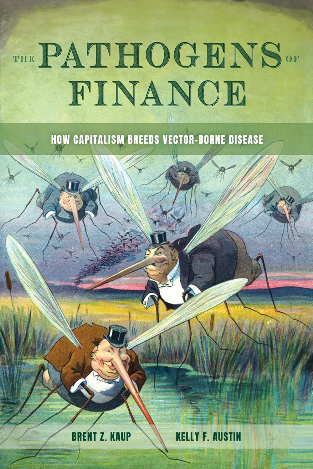 The Pathogens Of Finance How Capitalism Breeds Vectorborne Disease 1st Edition Brent Z Kaup