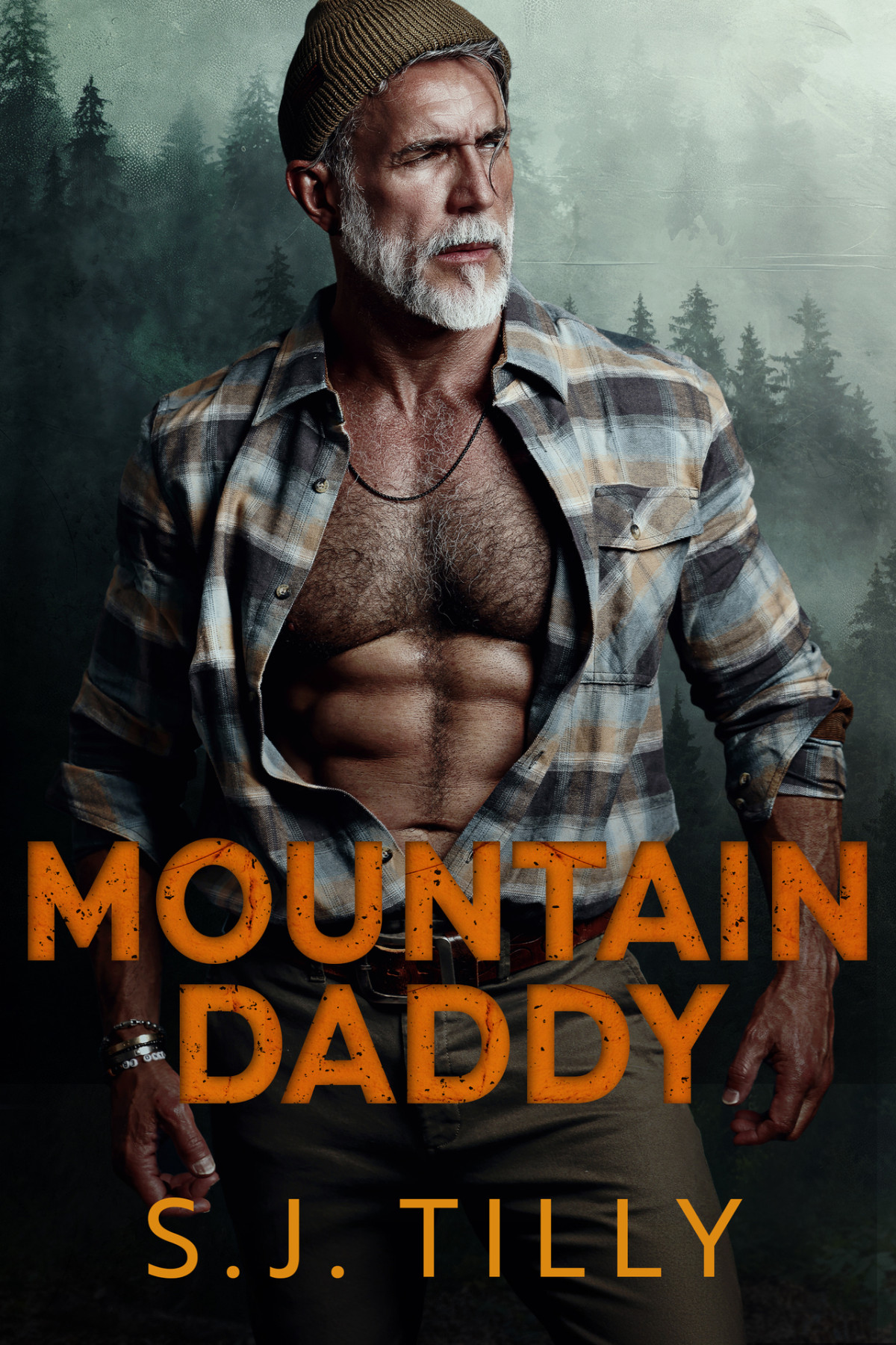 Mountain Men 2 Mountain Daddy S J Tilly