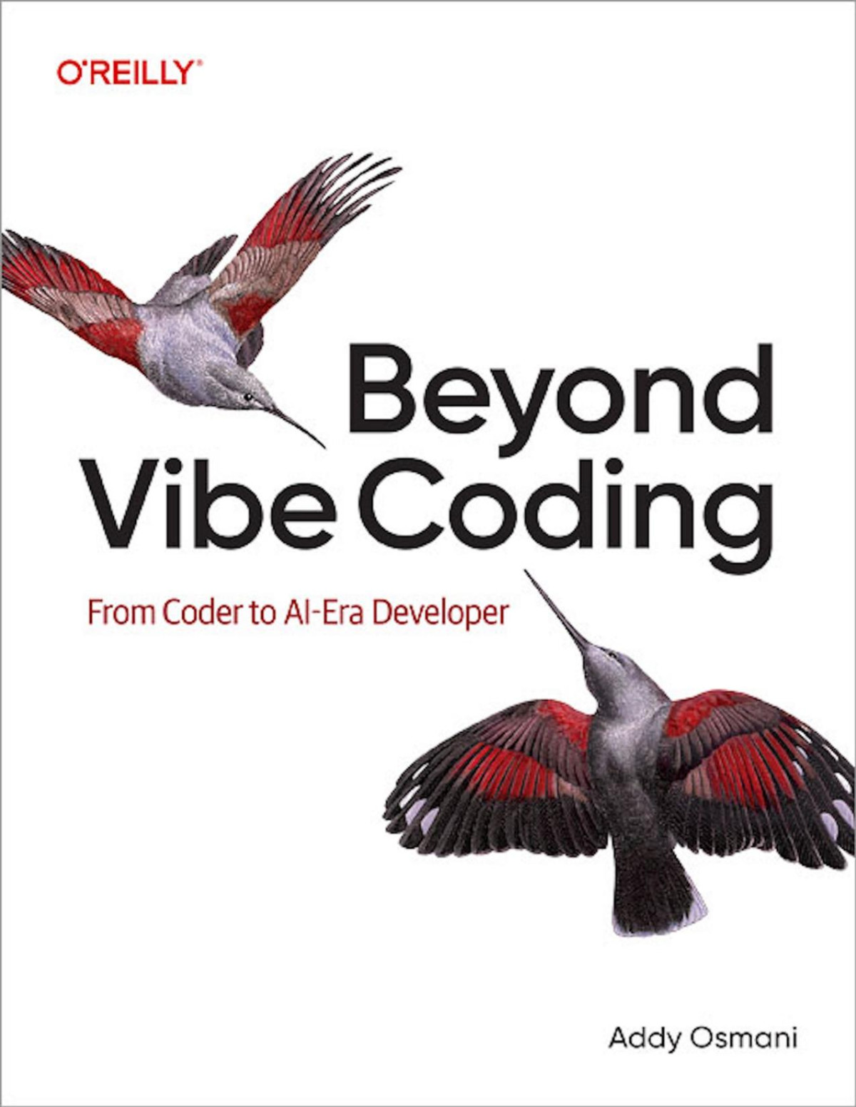 Beyond Vibe Coding For True Epub Converted Addy Osmani