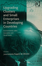 Upgrading Clusters And Small Enterprises In Developing Countries Environmental Labor Innovation And Social Issues Jose Antonio Puppim De Oliveira