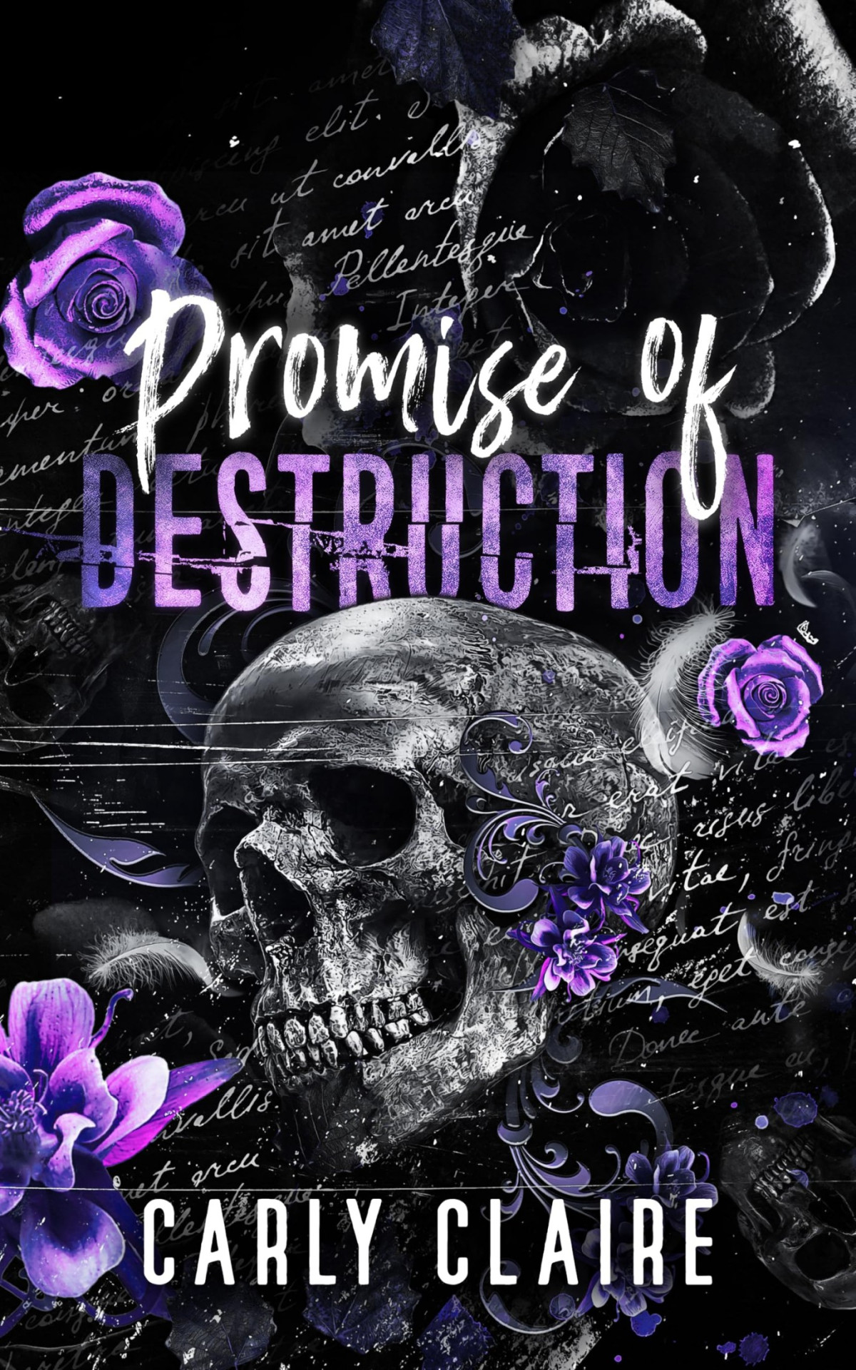 Destruction Vengeance Duet 1 Promise Of Destruction Carly Claire