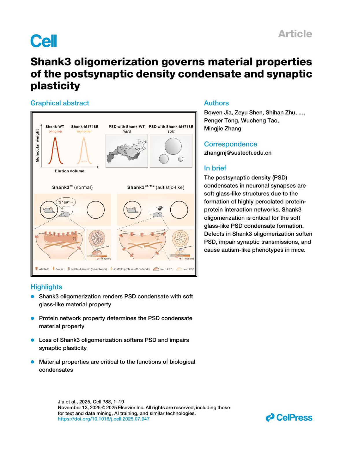 Shank3 Oligomerization Governs Material Properties Of The Postsynaptic Density Condensate And Synaptic Plasticity Bowen Jia Zeyu Shen Shihan Zhu Jingguo Huang Zhitao Liao Shuaizhu Zhao Hao Li Shiwen Chen Yang Xu Yu Wang Haitang Peng Guanhua Bai Youming Lu Penger Tong Wucheng Tao Mingjie Zhang