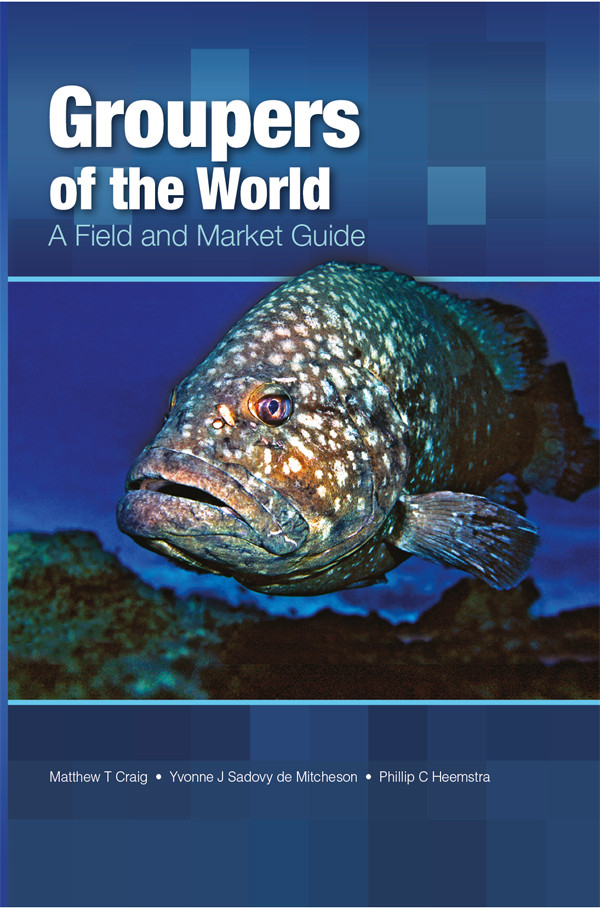Groupers Of The World A Field And Market Guide 1st Edition Matthew T Craig