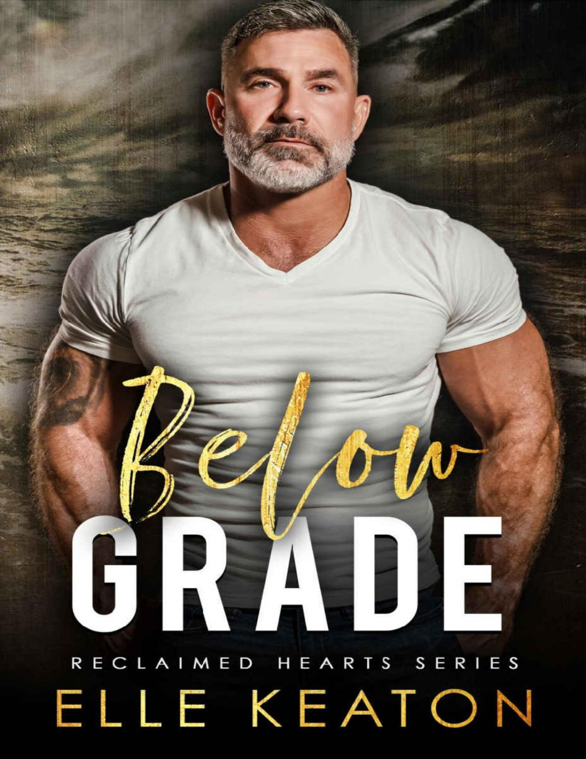 Below Grade Small Town Silver Fox Gay Romance Reclaimed Hearts Book 2 Elle Keaton