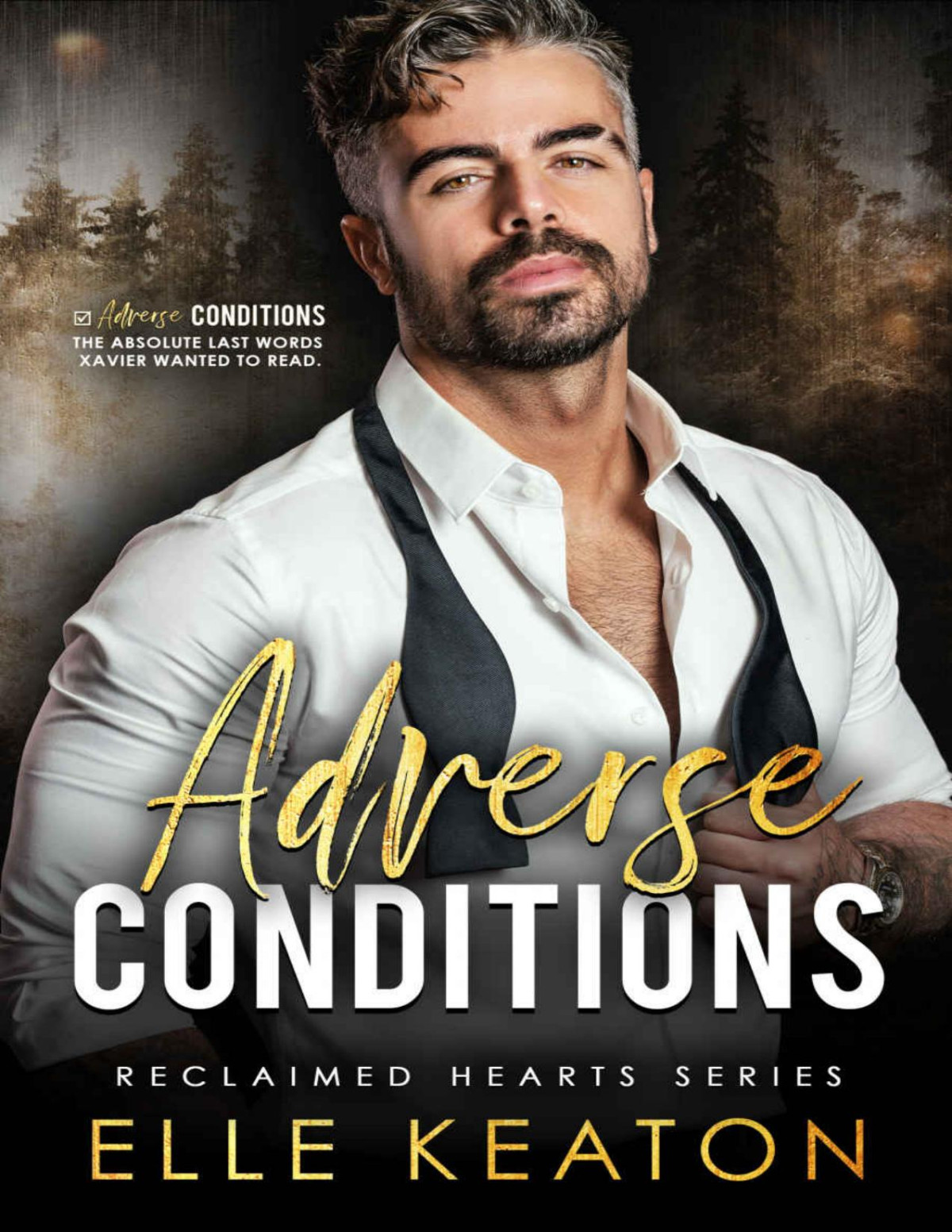 Adverse Conditions Small Town Silver Fox Gay Romance Reclaimed Hearts Book 1 Elle Keaton