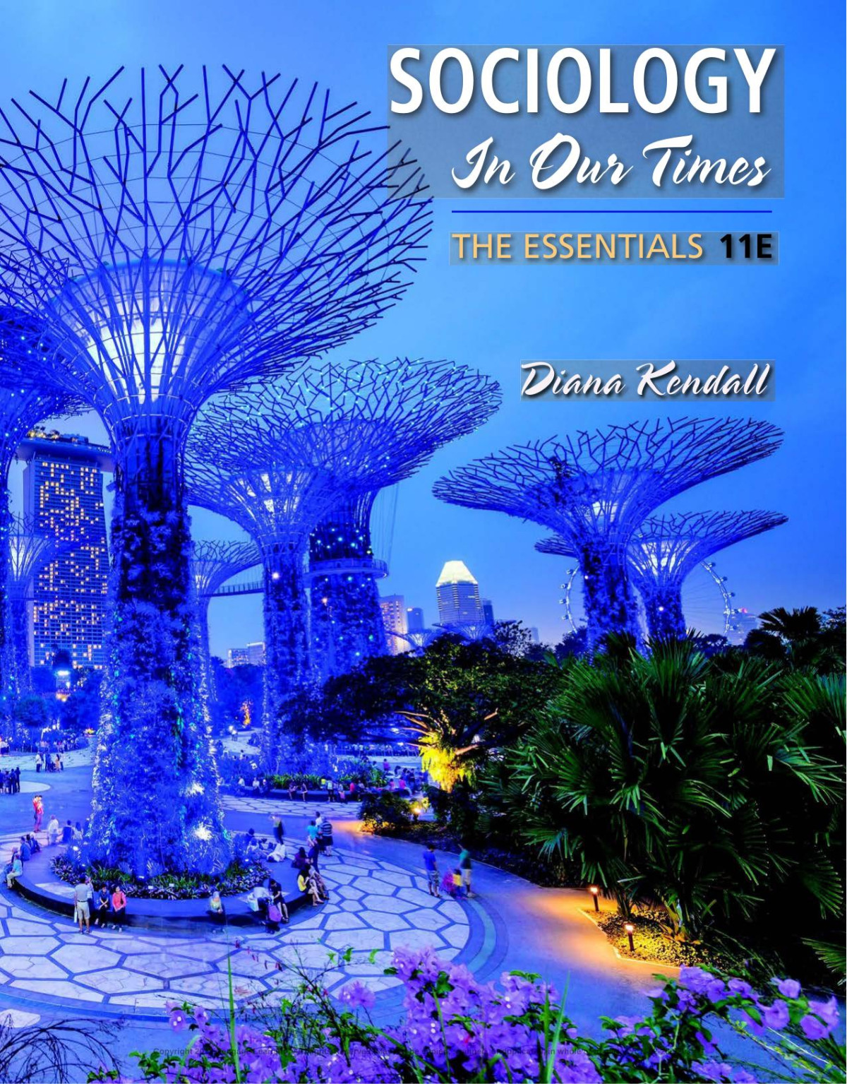 Sociology In Our Times Essentials Diana Kendall