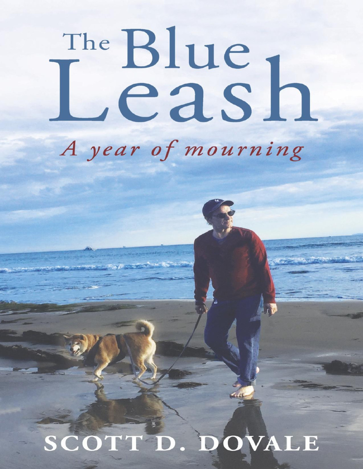 The Blue Leash A Year Of Mourning Dovale Scott