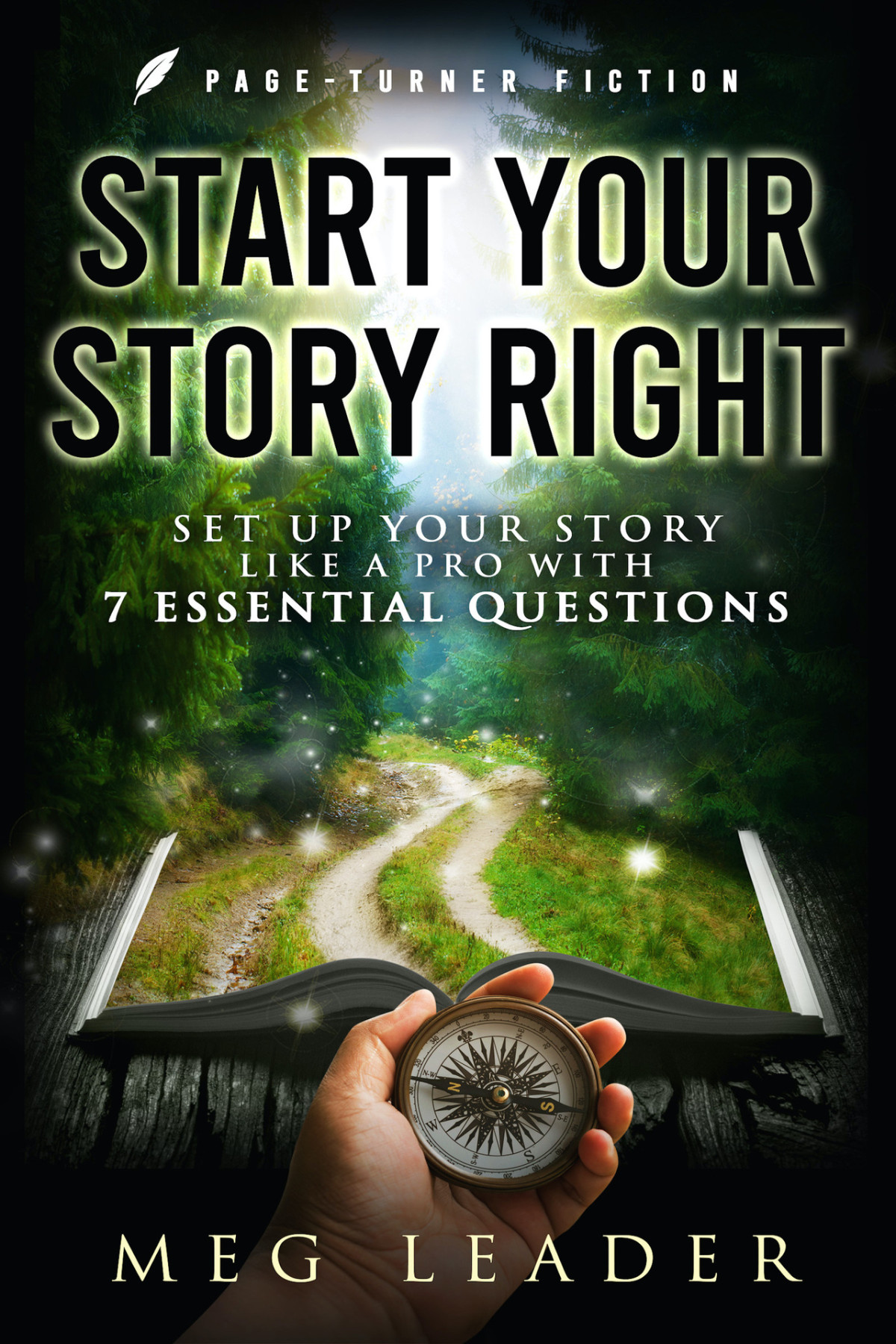 Start Your Story Right Set Up Your Story Like A Pro With 7 Essential Questions Pageturner Fiction Leader