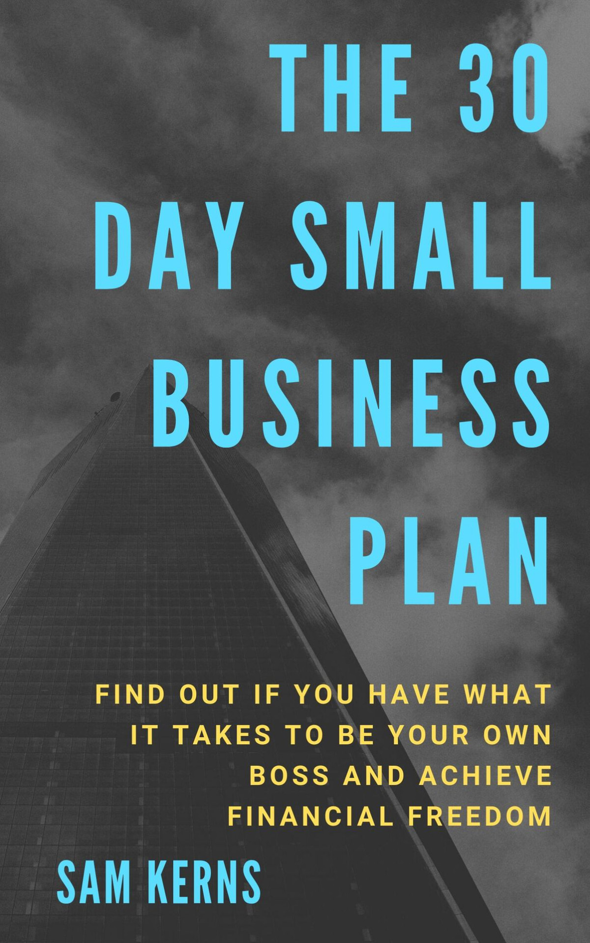 The 30 Day Small Business Startup Plan Find Out If You Have What It Takes To Be Your Own Boss And Achieve Financial Freedom Work From Home Series Book 8 Kerns