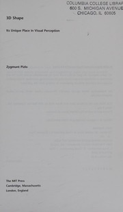 3d Shape Its Unique Place In Visual Perception Pizlo Zygmunt
