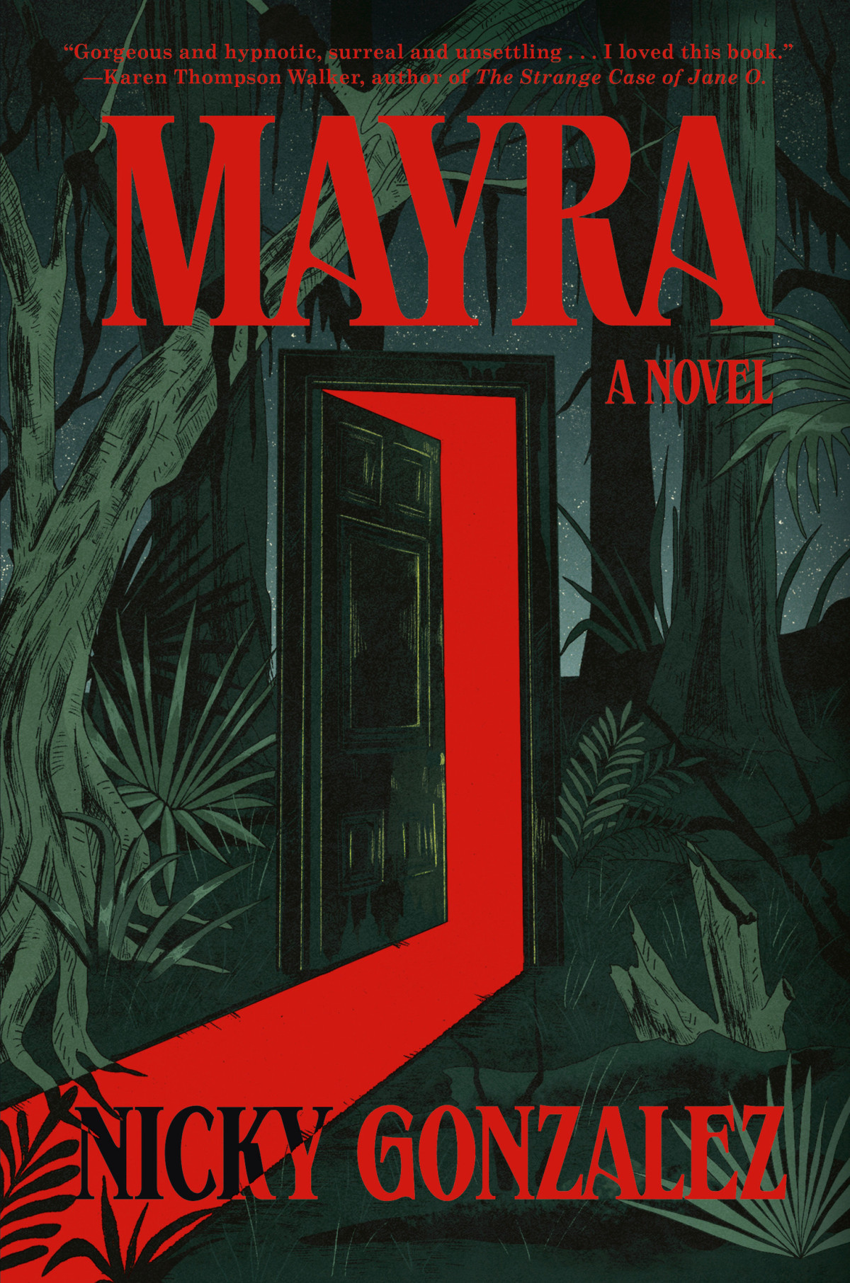 Mayra A Novel Nicky Gonzalez
