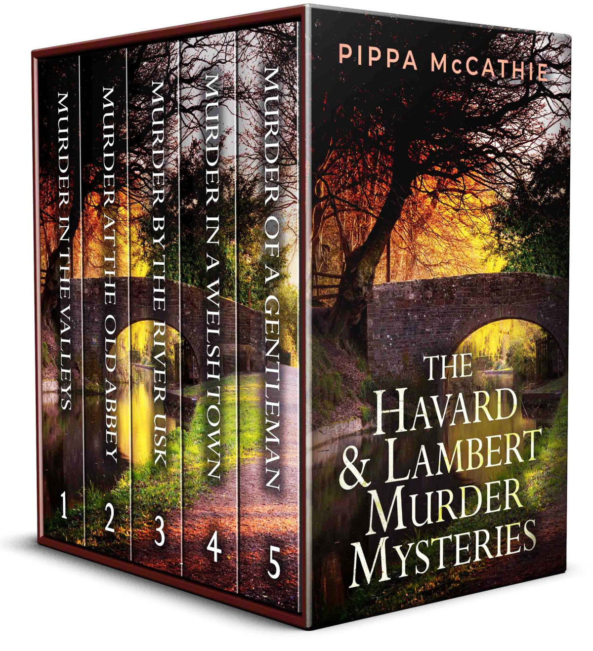 Havard And Lambert Books 15 Five Gripping Detective Mysteries Full Of Twists Mccathie