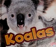 Koalas Kras Sara Louise