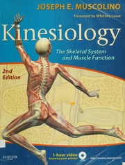 Kinesiology The Skeletal System And Muscle Function 2nd Ed Muscolino