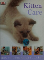 Kitten Care How To Look After Your Pet Dennisbryan Kim