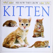 Kitten 1st American Ed Edition Burton Jane