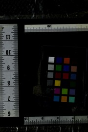 Gre Exam 2005 Kaplan Inc