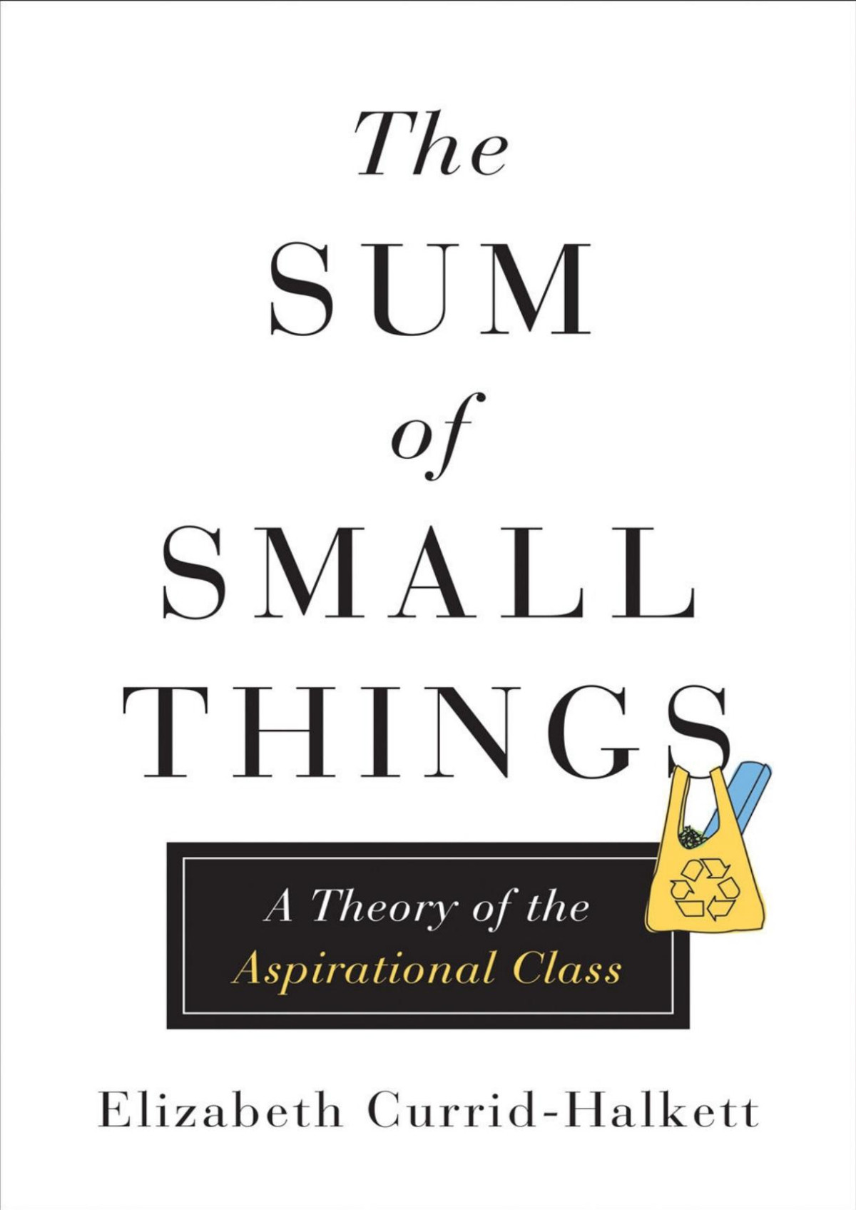 The Sum Of Small Things A Theory Of The Aspirational Class Elizabeth Curridhalkett