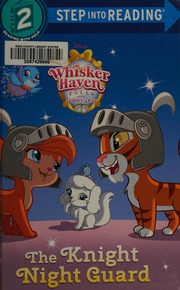 The Knight Night Guard Koster Amy Sky Author Disney Storybook Artists