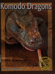 Komodo Dragons Welsbacher Anne 1955