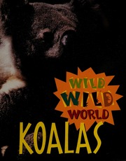 Koalas 1 Edition Stone Tanya Lee