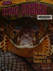 King Cobras The Biggest Venomous Snakes Of All White Nancy