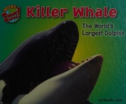 Killer Whale The Worlds Largest Dolphin Lunis Natalie