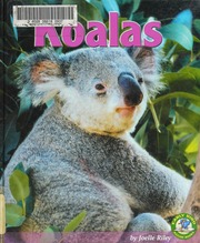 Koalas Riley Joelle