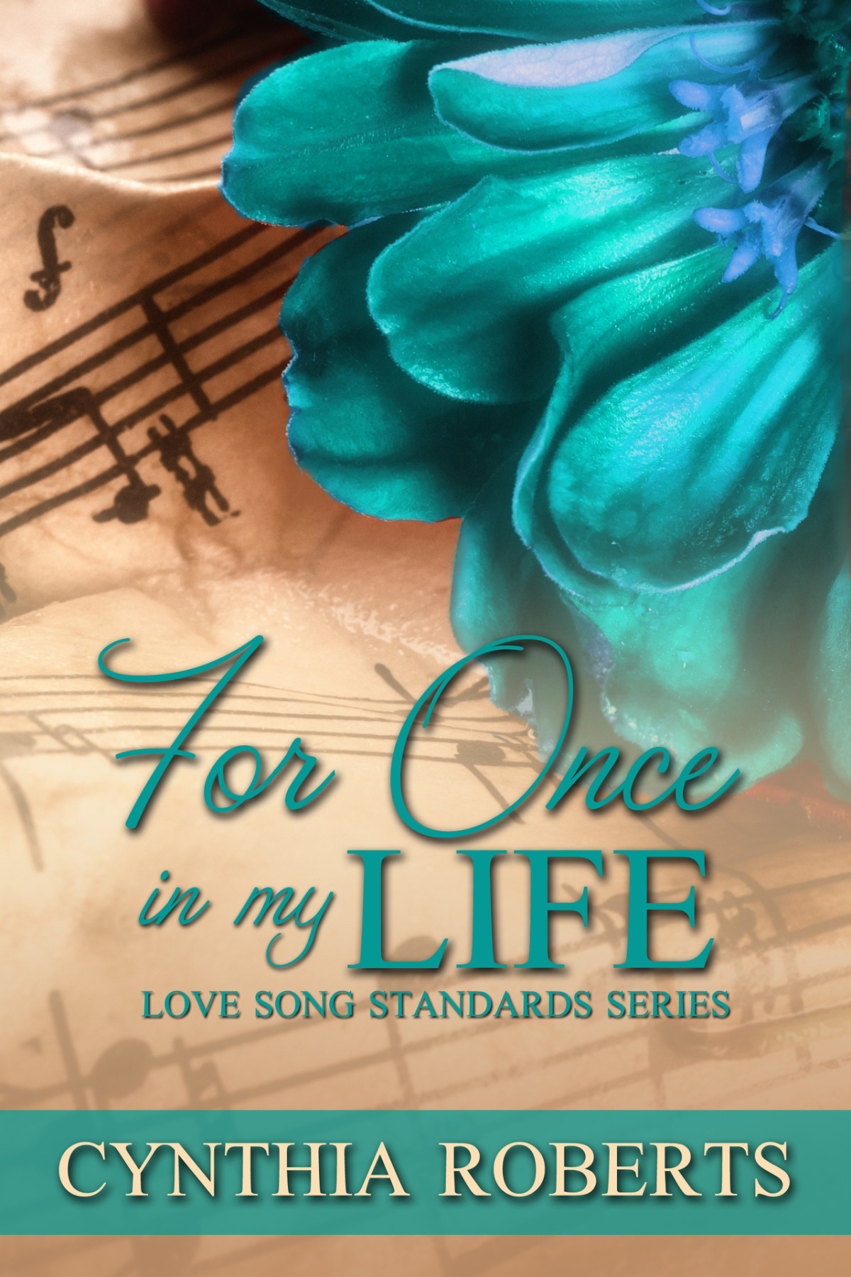 For Once In My Life A Small Town Military Romance Love Song Standards Book 3 Roberts