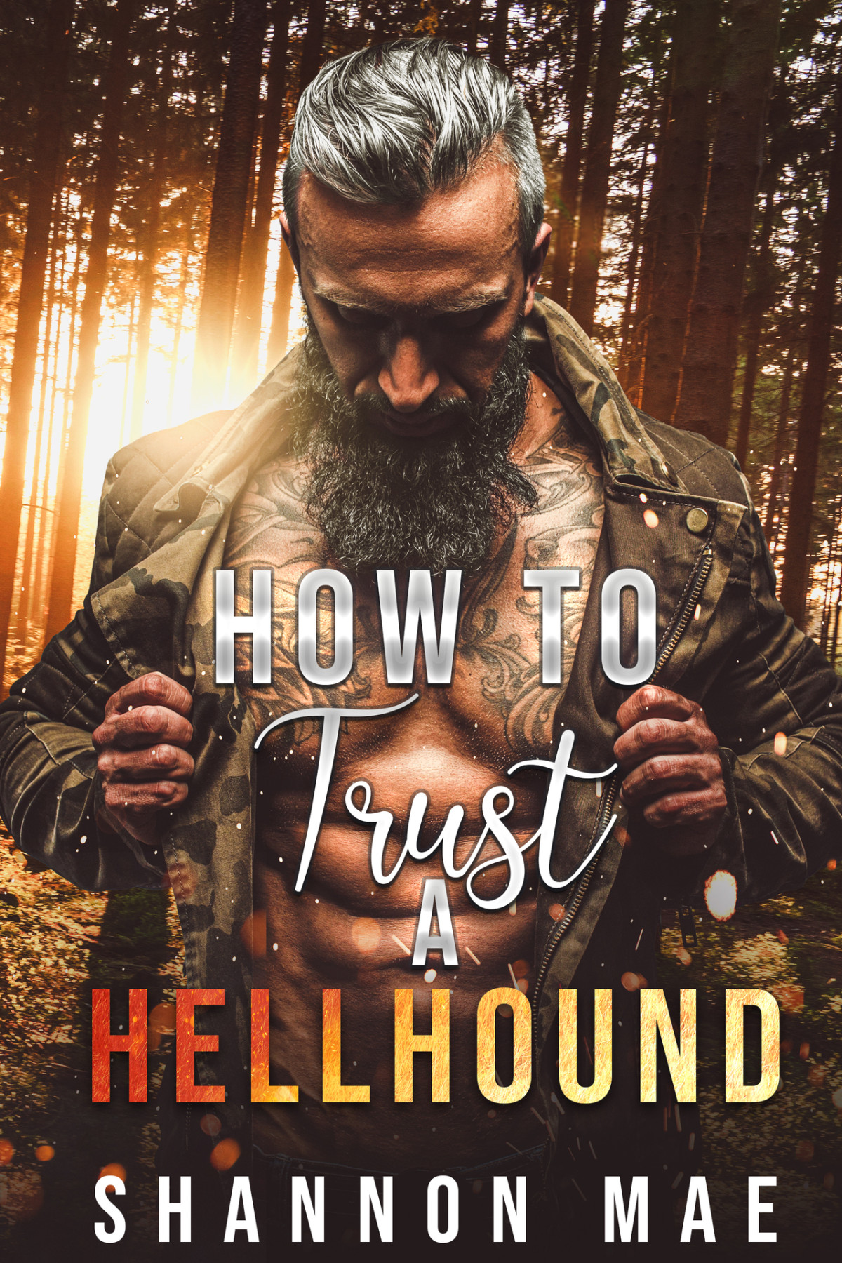 How To Trust A Hellhound Hellhounds Of Paradise Falls Book 4 Mm 1st Edition Shannon Mae