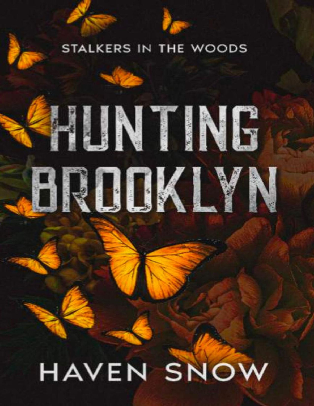 Hunting Brooklyn Stalkers In The Woods Haven Snow