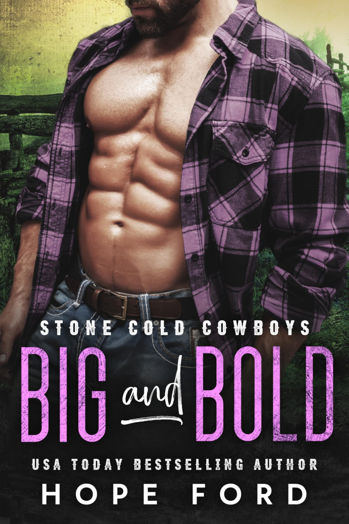 Stone Cold Cowboys 2 Big And Bold Hope Ford