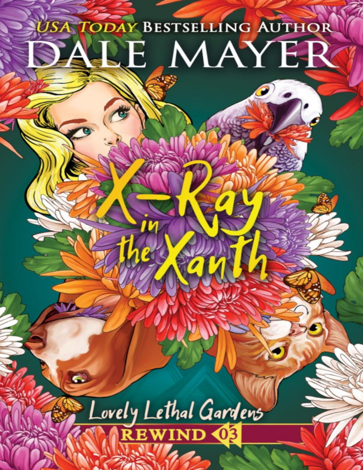 Xray In The Xanth Dale Mayer