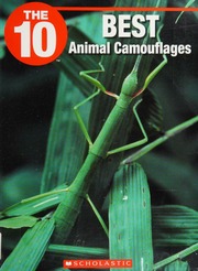 The 10 Best Animal Camouflages Lindsey Cameron