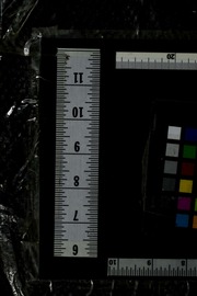 1000 Low Fat Salt Sugar Cholesterol Recipes To Tempt Your Taste Buds Parragon Publishing