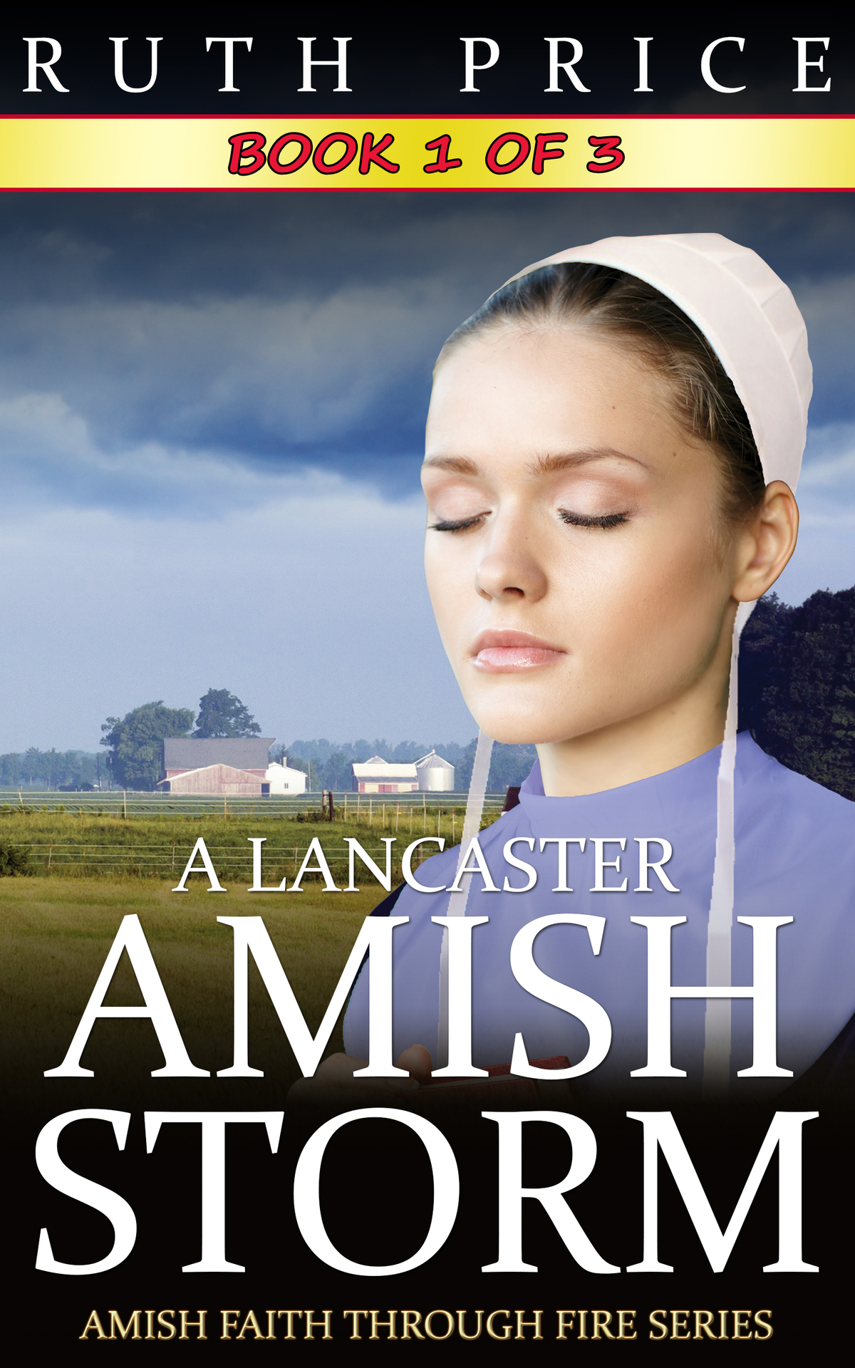 A Lancaster Amish Storm Book 1 Price Ruth